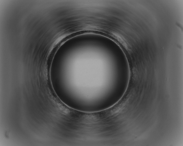 X0000091880931200709051321