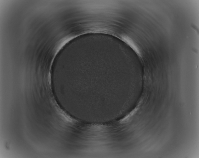 X0000091880932200709051321