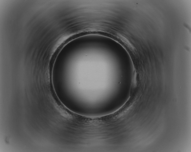 X0000091880934200709051321