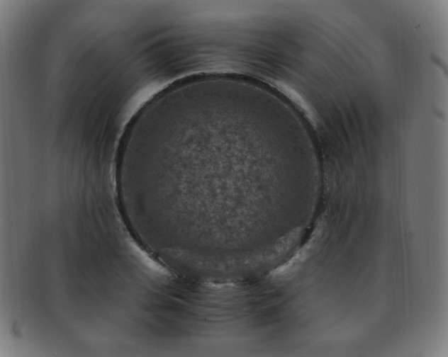 X0000091880935200709051321