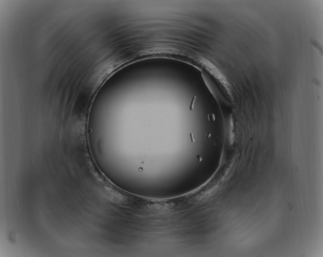X0000091880937200709051321