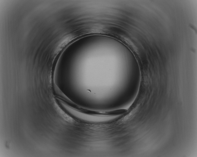 X0000091880938200709051321