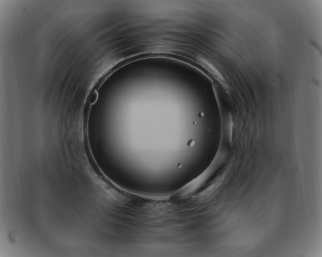 X0000091880939200709051321