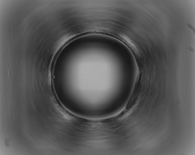 X0000091880940200709051321