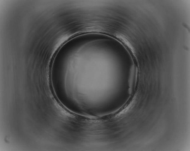 X0000091880941200709051321