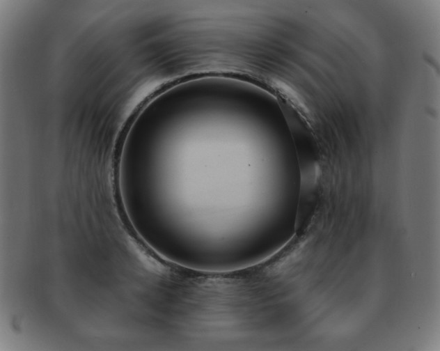 X0000091880942200709051321