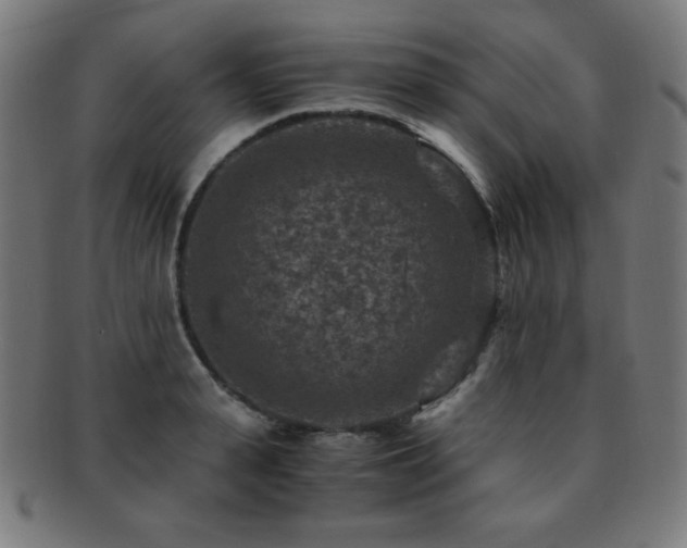 X0000091880943200709051321