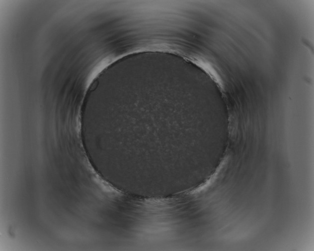 X0000091880944200709051321