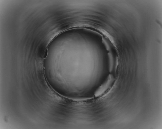 X0000091880945200709051321