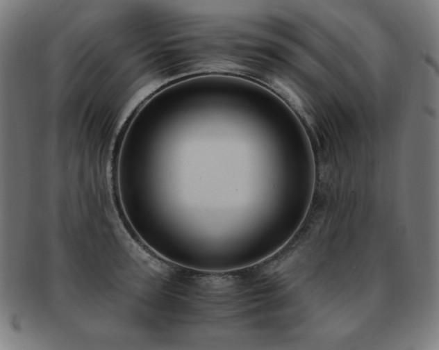 X0000091880947200709051321