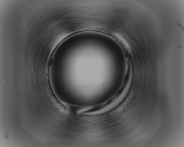 X0000091880948200709051321