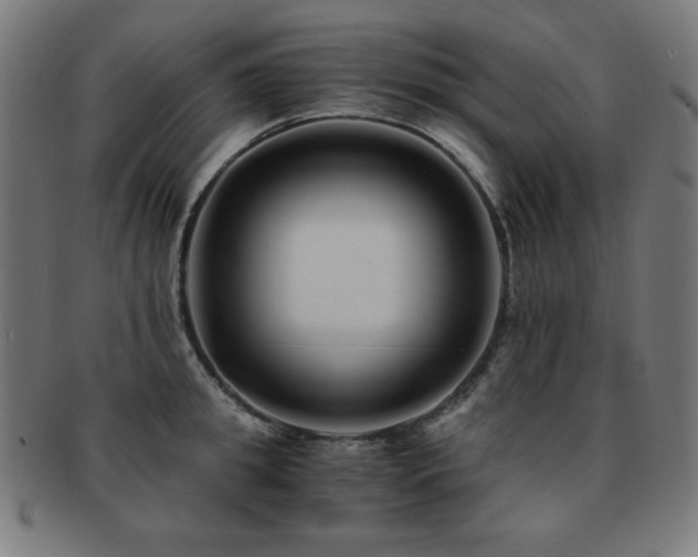 X0000091880949200709051321