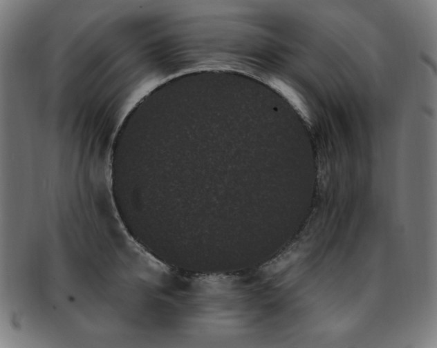 X0000091880950200709051321