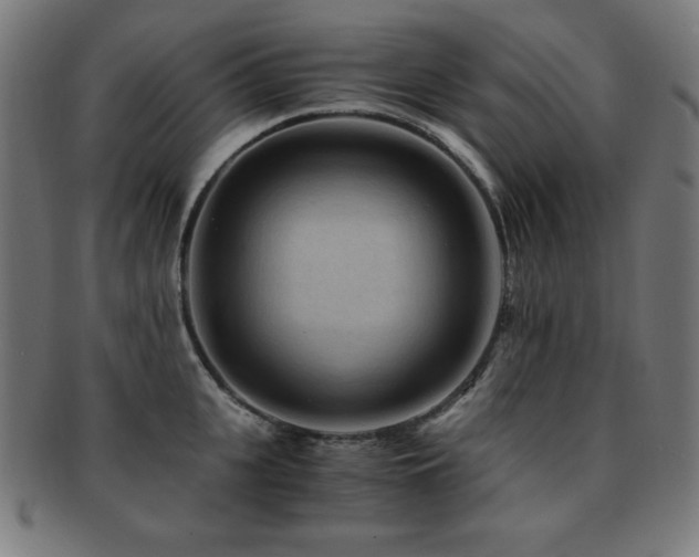 X0000091880951200709051321