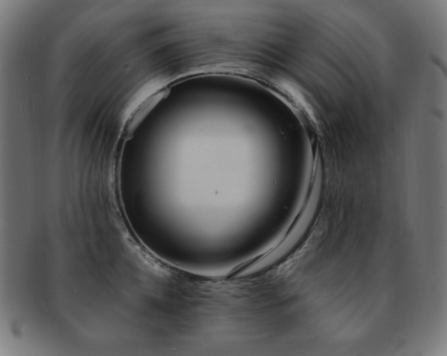 X0000091880952200709051321