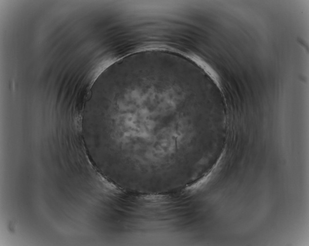 X0000091880953200709051321