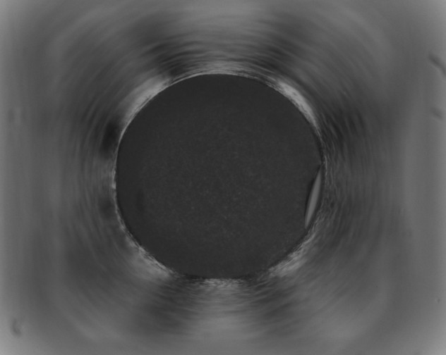X0000091880954200709051321