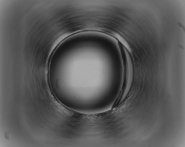 X0000091880955200709051321
