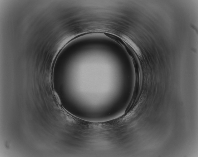 X0000091880956200709051321