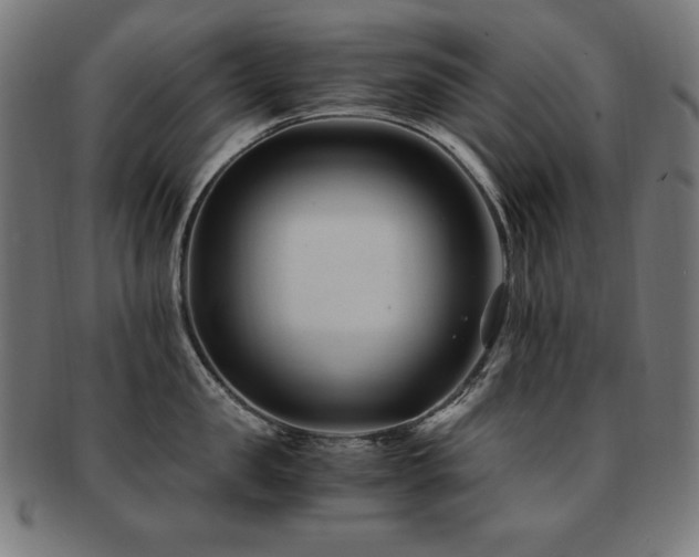 X0000091880957200709051321