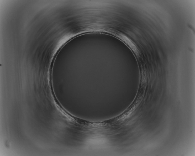 X0000091880958200709051321