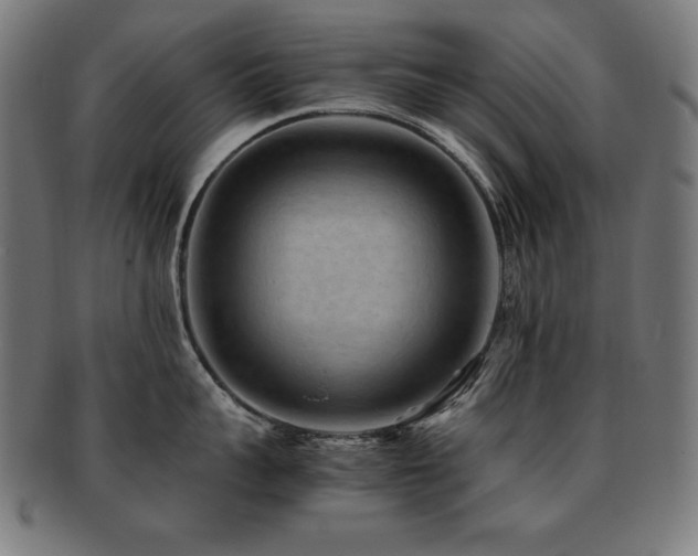 X0000091880959200709051321
