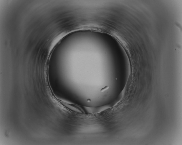 X0000091880960200709051321