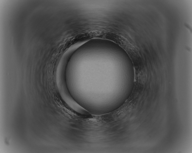 X0000091880961200709051321