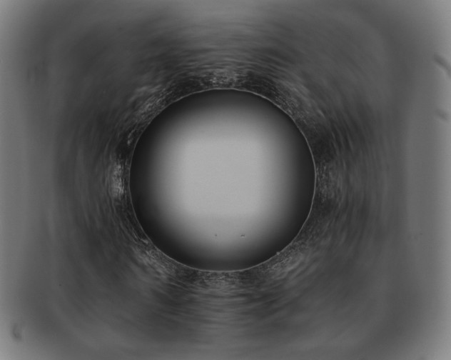X0000091880962200709051321