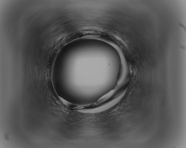 X0000091880965200709051321