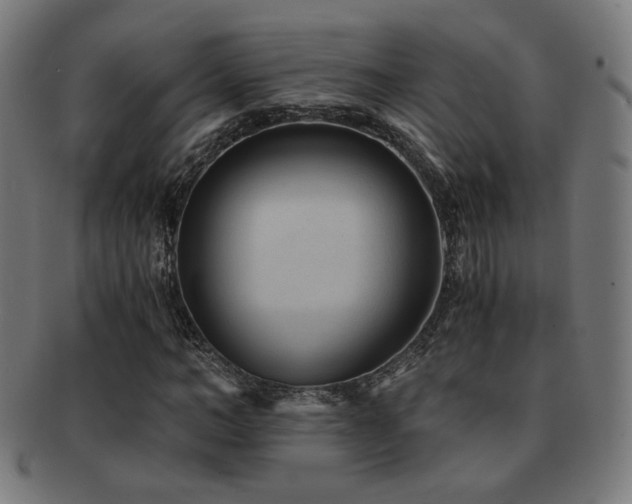 X0000091880966200709051320