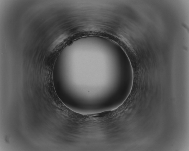 X0000091880967200709051320