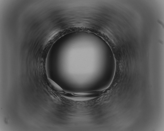 X0000091880968200709051320