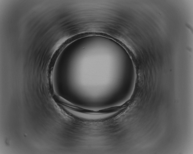 X0000091880972200709051320