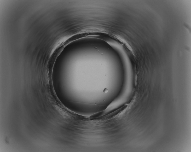 X0000091880973200709051320