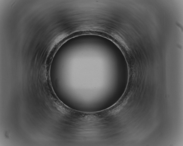 X0000091880974200709051320