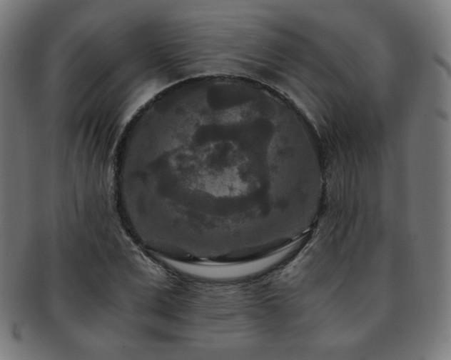 X0000091880975200709051320