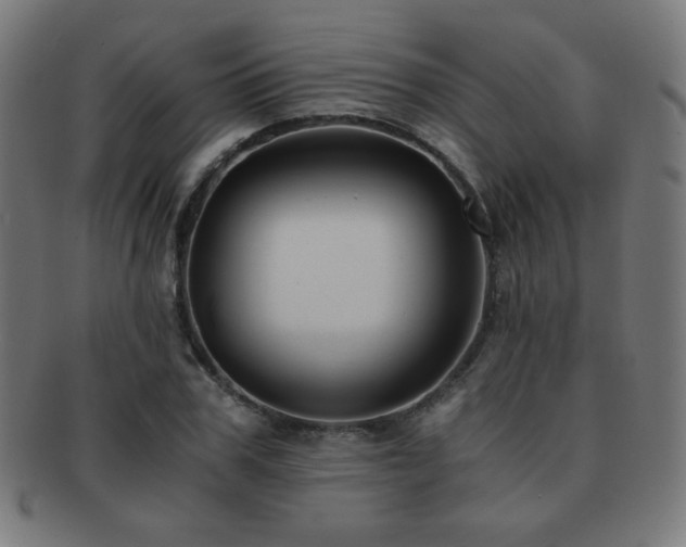X0000091880979200709051320