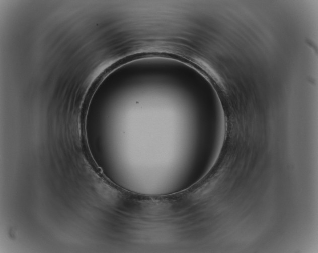 X0000091880980200709051320