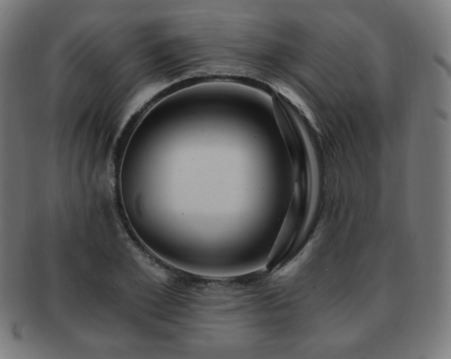 X0000091880981200709051320