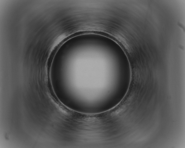 X0000091880982200709051320