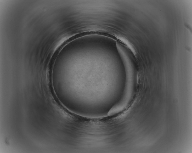 X0000091880983200709051320