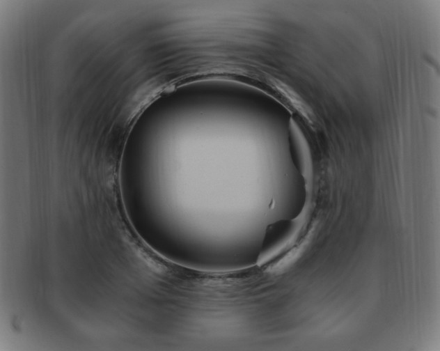 X0000091880985200709051320