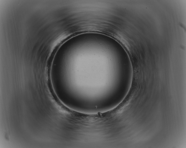 X0000091880987200709051320