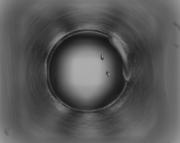 X0000091880988200709051320