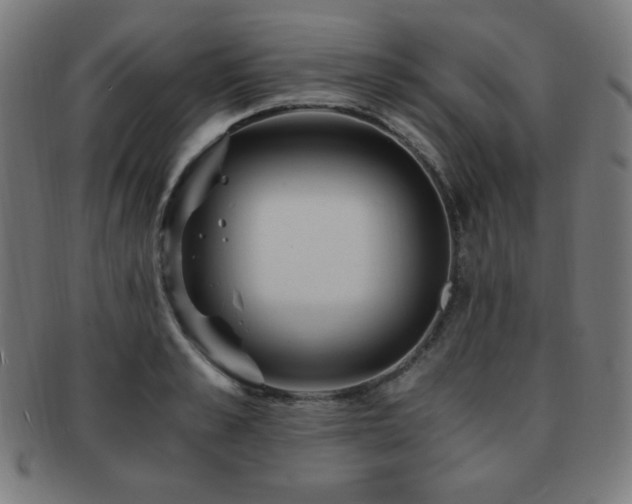 X0000091880989200709051320