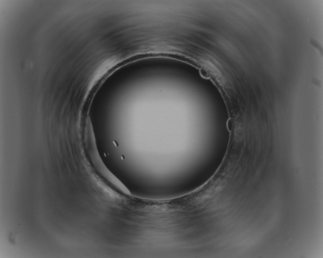 X0000091880990200709051320