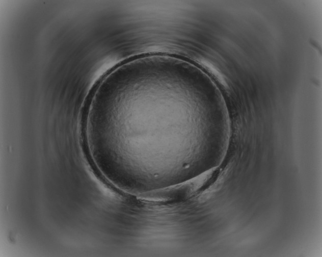 X0000091880991200709051320