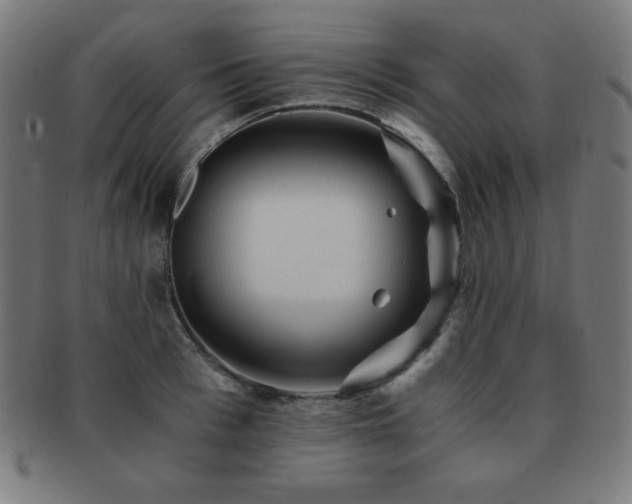 X0000091880993200709051320