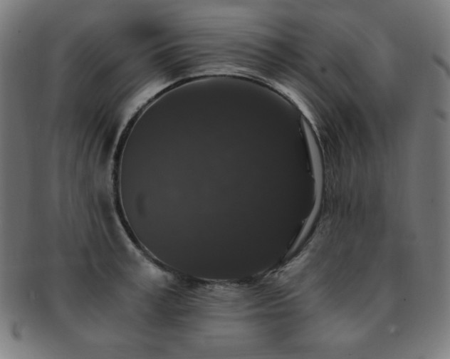 X0000091880995200709051320